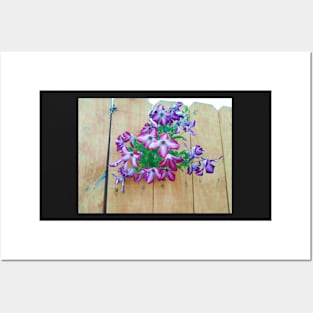 Purple Flowers Climbing Through Fence Posters and Art